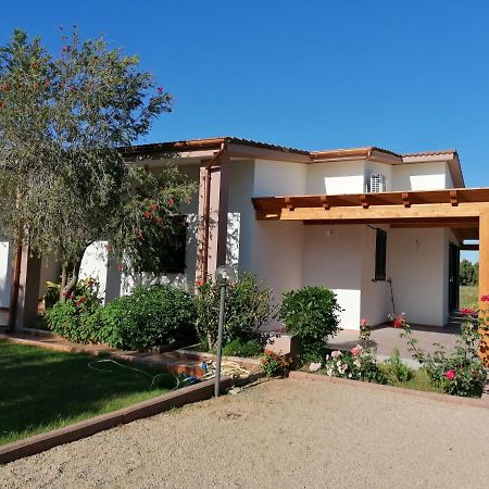 Il Patio Alghero 圣塔·马里亚·迪·帕尔玛 外观 照片