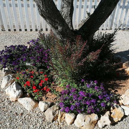 Il Patio Alghero 圣塔·马里亚·迪·帕尔玛 外观 照片